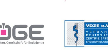 YOUNG SCIENTISTS AWARD - RESEARCH IN ENDODONTOLOGY